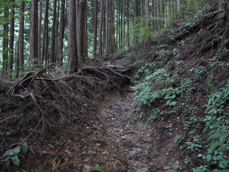20181016hike (20)